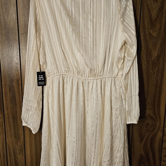 Express Dress - Picture 4 of 5